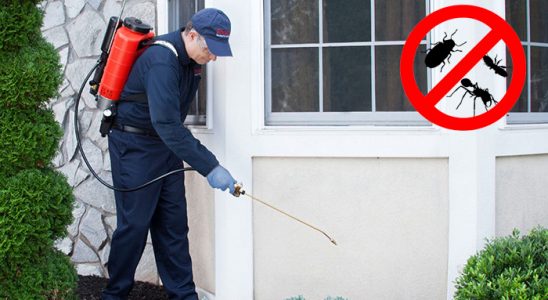 Horasan Gümüşkurt İlaçlama böcek ilaçlama ve haşere kontrolü — ilaclama-tr.com